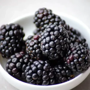 Blackberries