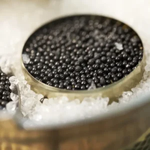 Close-up of black caviar pearls in a round metallic dish resting on ice.